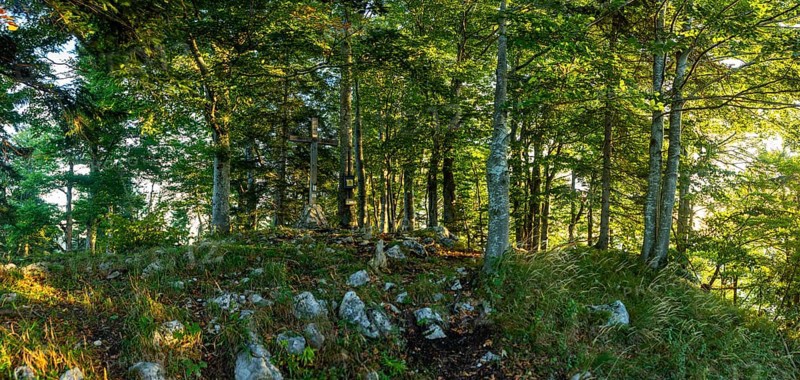 Summit cross in the deciduous forest on the Gurlspitze