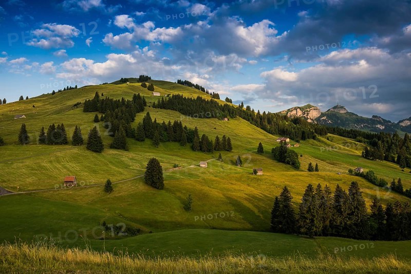 Alpine huts
