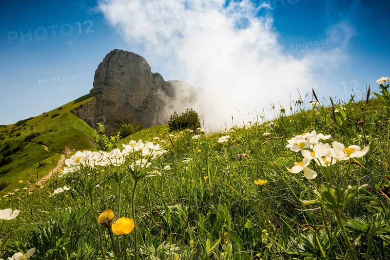 Steep mountains and clouds and flower meadow