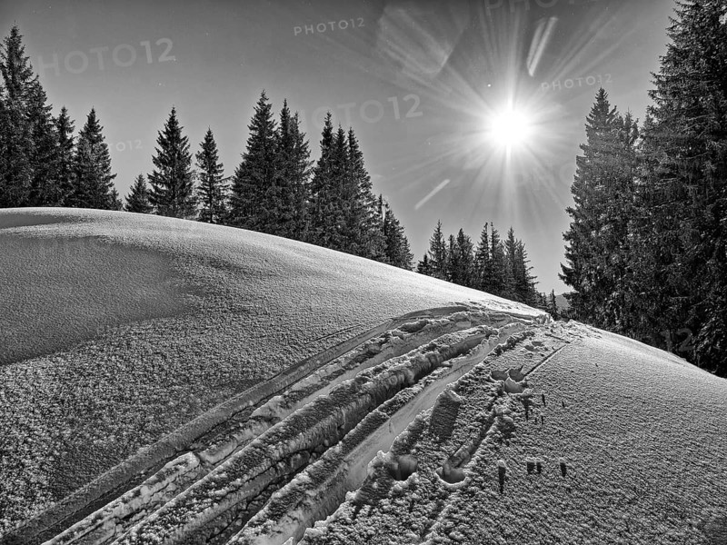 Trace of skis in front of trees