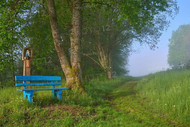 Bench