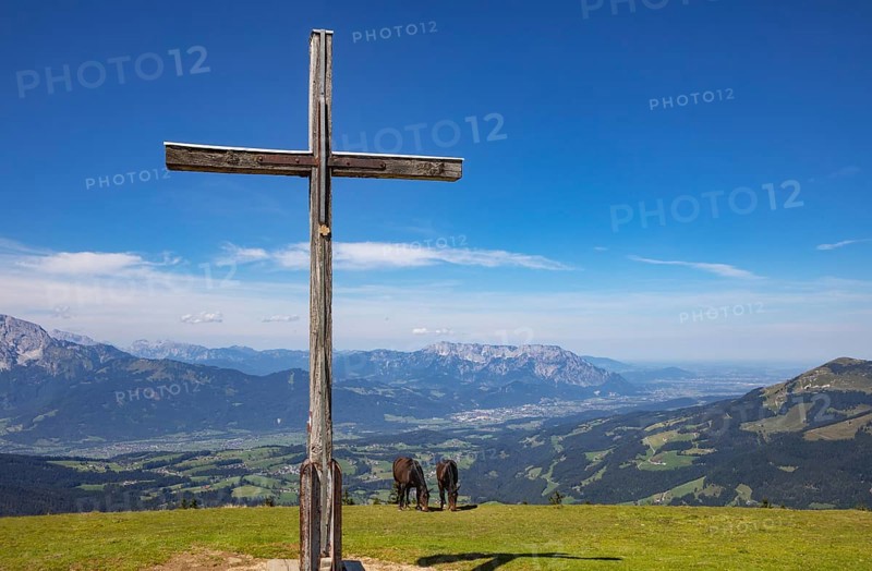 Herd of horses at the summit cross on the Trattberg with a view into the Salzach Valley