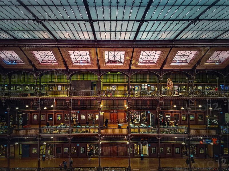 View inside the Museum of Natural History