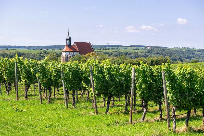 Pilgrimage church Maria im Weingarten