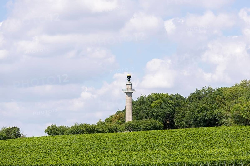 Constitution Column