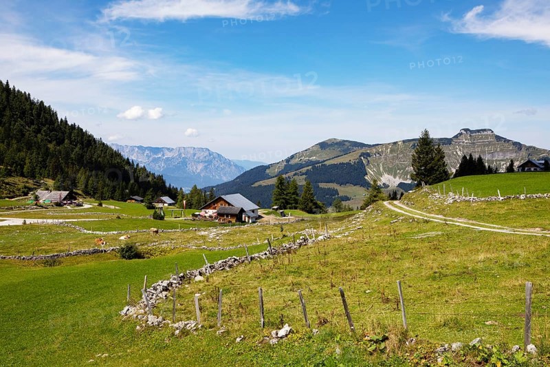Almhuetteb on the Trattbergalm with view to the Untersberg