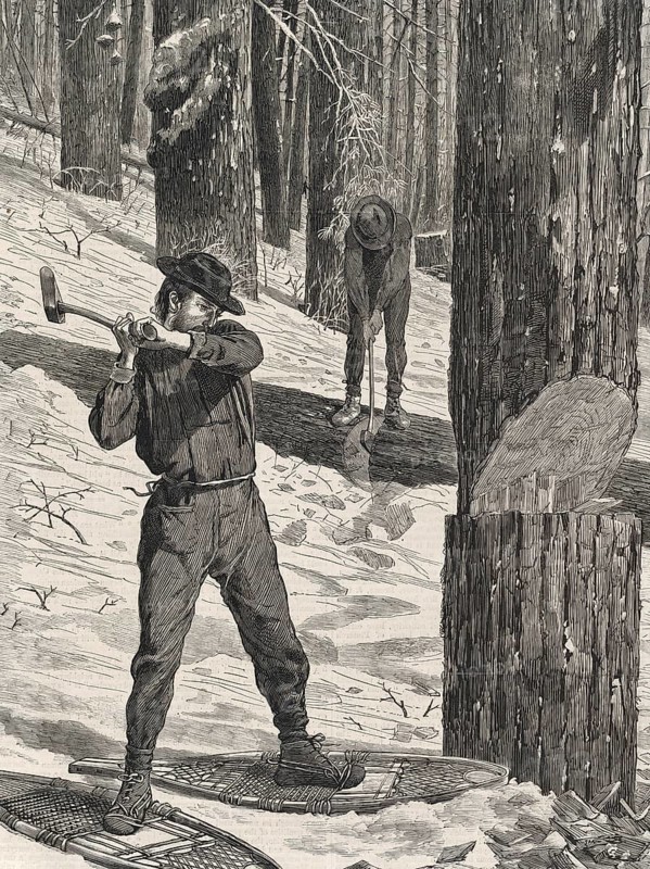 Woodcutter working in the forest in winter