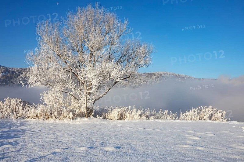 Snowy winter landscape at the Irrsee in the morning mist