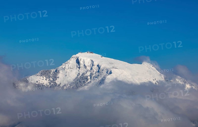 Winter landscape