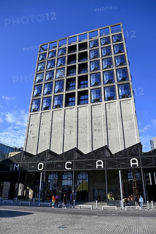 Zeitz Museum of Contemporary Art Africa