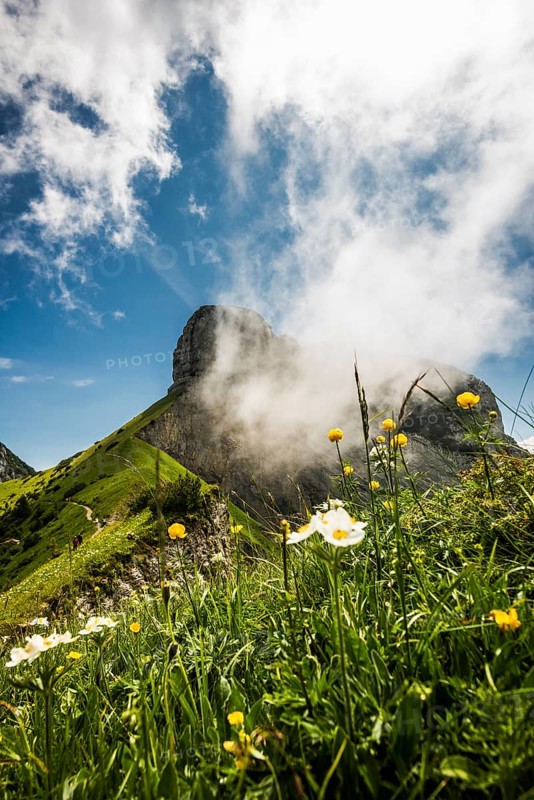Steep mountains and clouds and flower meadow