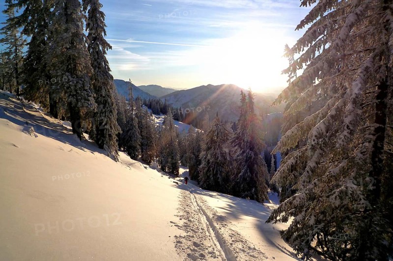 Ski tour in high winter