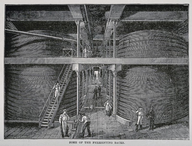 Fermenting flasks and workers in a whiskey distillery. Wood engraving