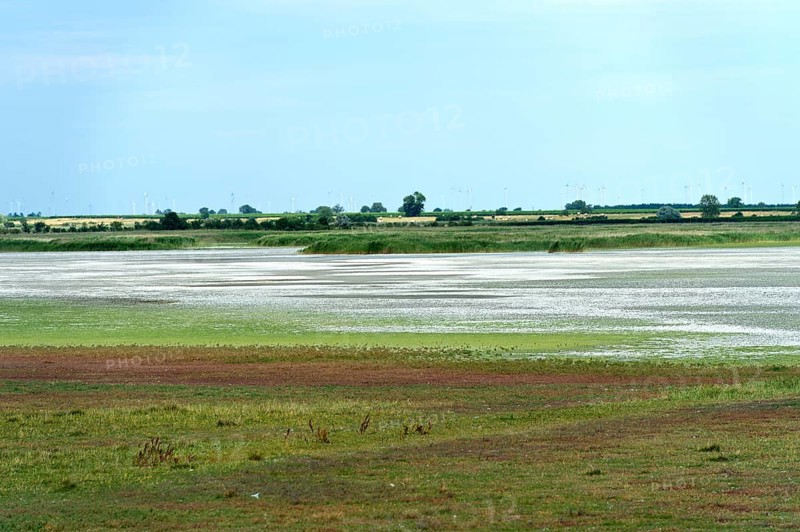 White salt crust on the Lange Lacke salt lake