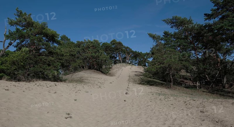 Hiking trail on the inland dune near Klein Schmoelen
