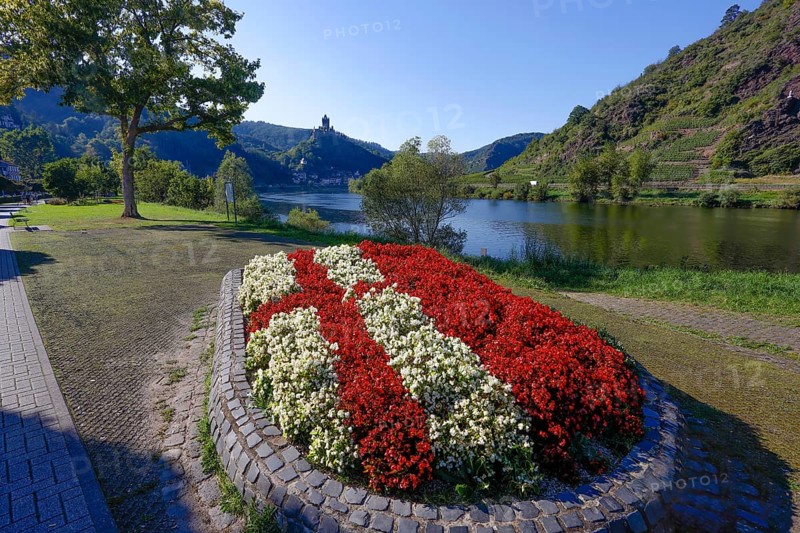 Flowerbed near Cochem Moselle
