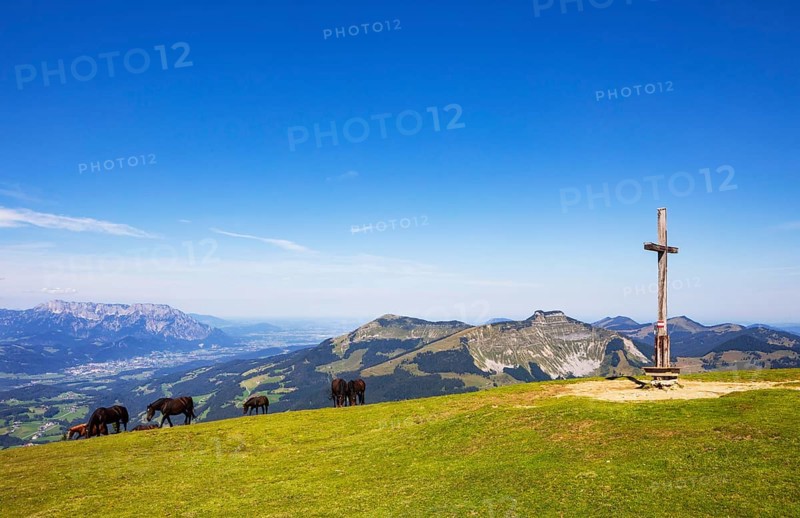 Herd of horses at the summit cross on Trattberg with a view of Schlenken and Schmittenstein