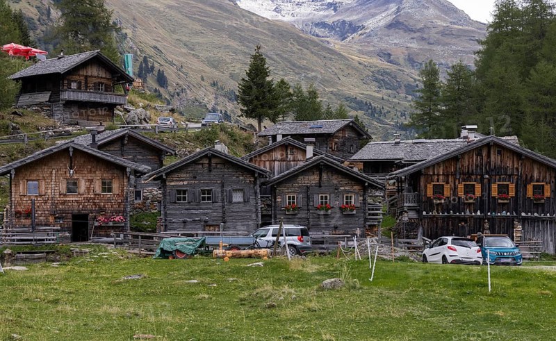 Alpine pasture
