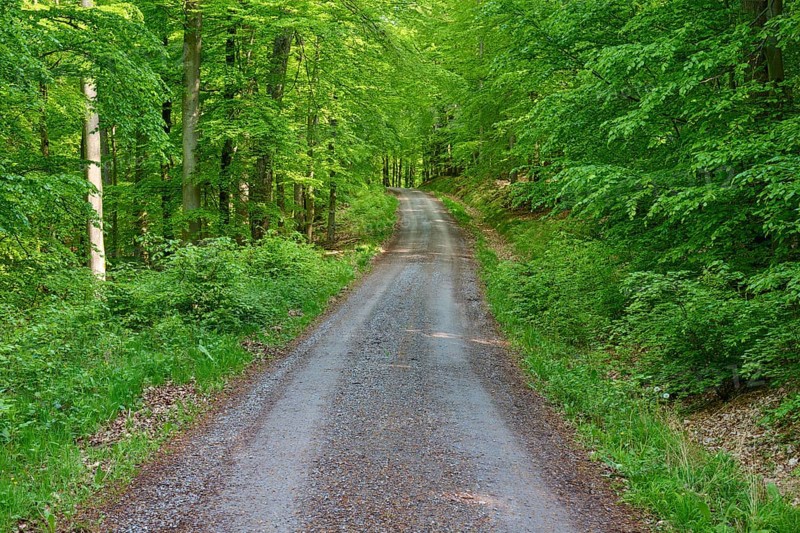Path