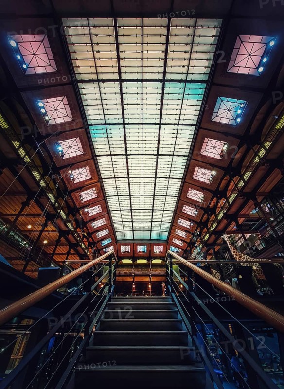 Staircase inside the Museum of Natural History