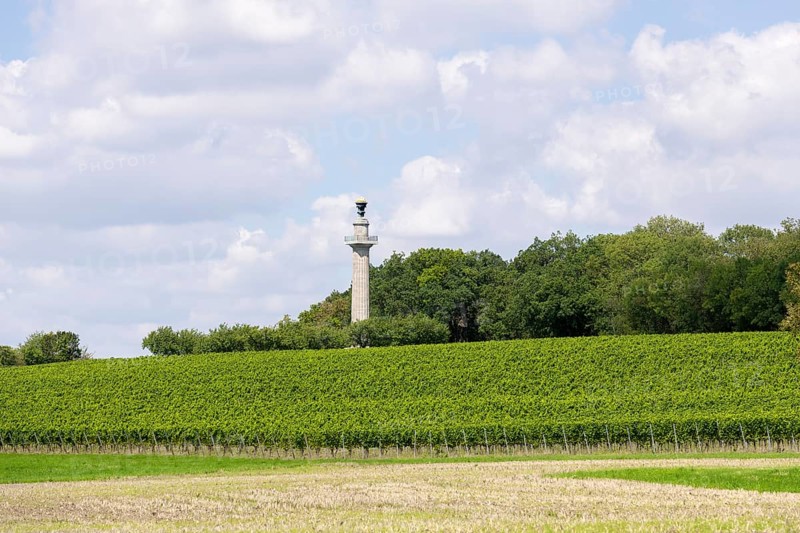 Constitution Column