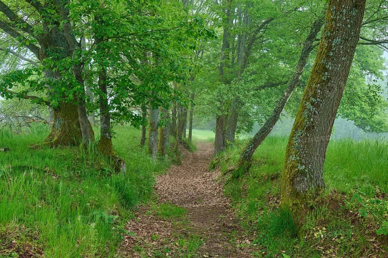 Hiking trail