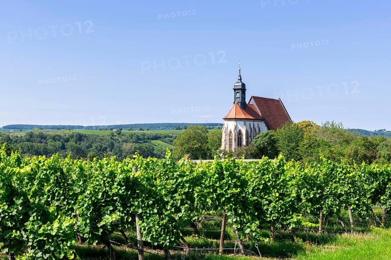Pilgrimage church Maria im Weingarten