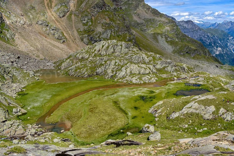 Almost silted up lake with lots of cottongrass