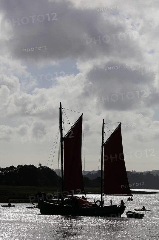 Parade of old sailboats in the Rade de Brest