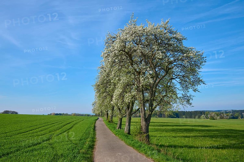 Field path