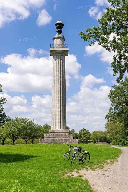 Constitution Column