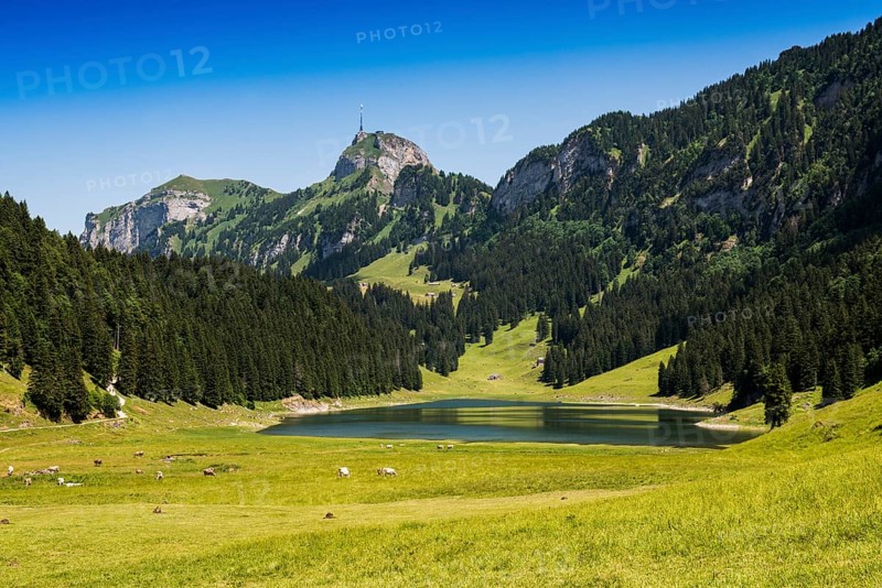 Mountain landscape and lake