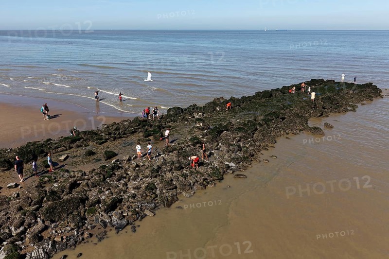 People collecting shells on a stone groyne in the sea