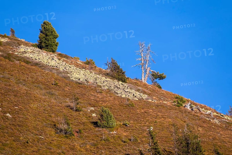 Mountain landscape with boulder heaps
