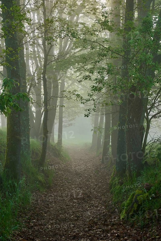 Hiking trail
