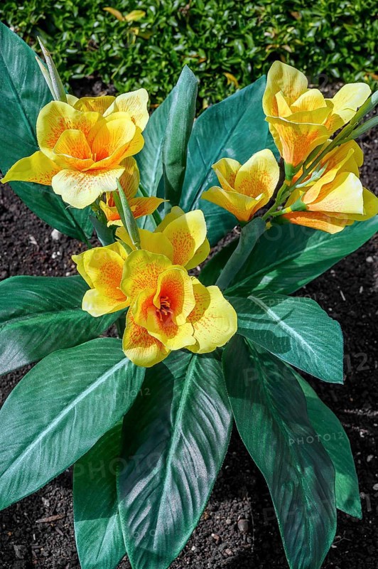 Artificial Indian flower cane