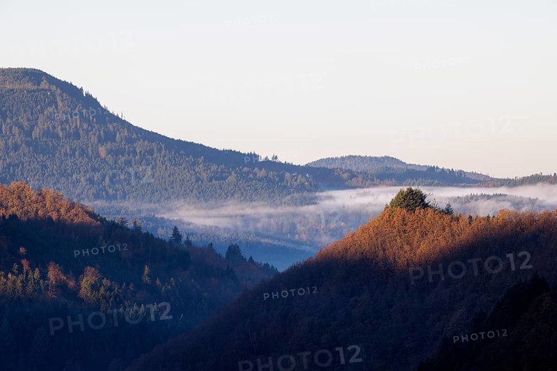 Early November fog near Oppenau