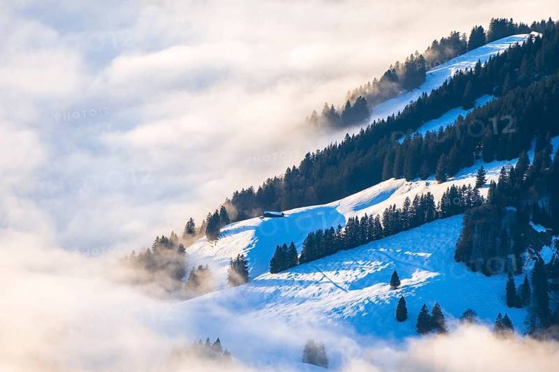 Snow-covered alpine hut in the sea of fog