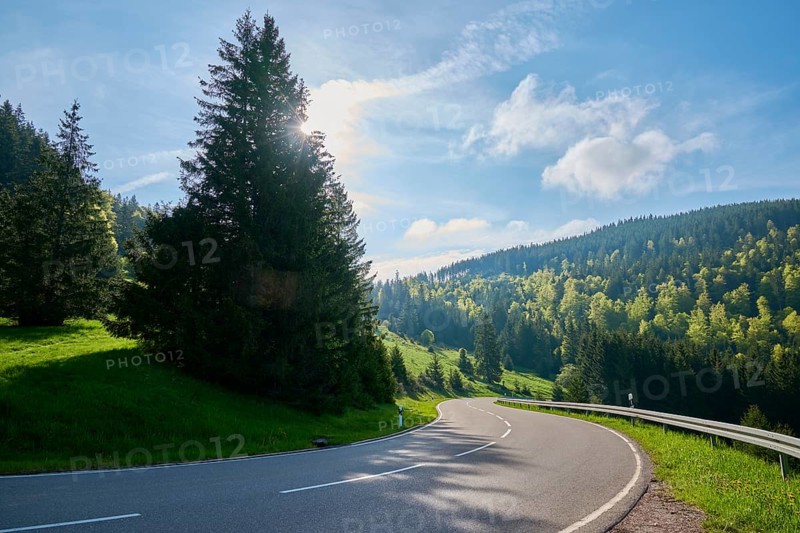Country road