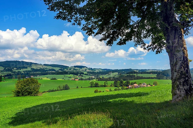 The Weitnau Valley near Waltrams