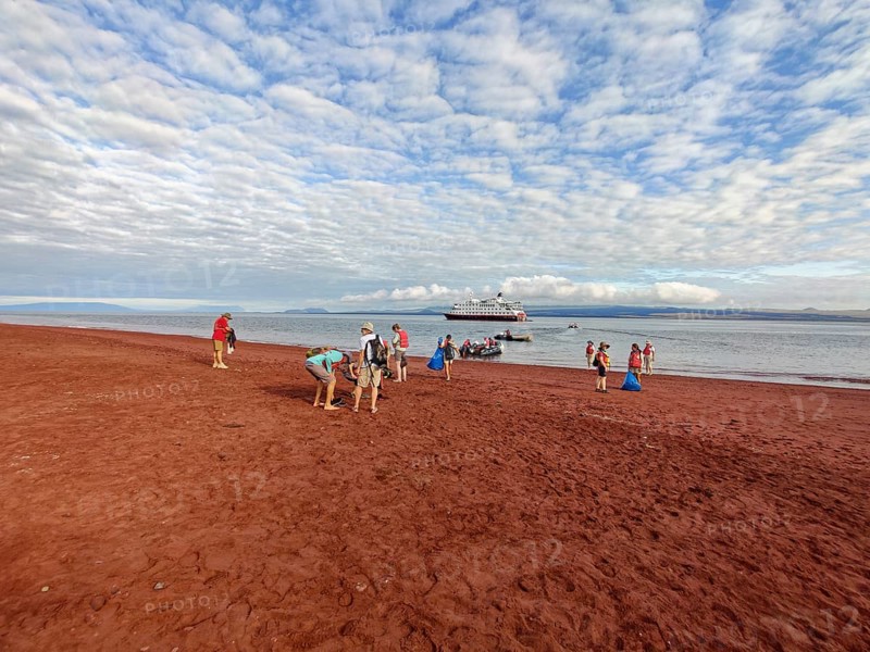 Cruise tourists on the beach