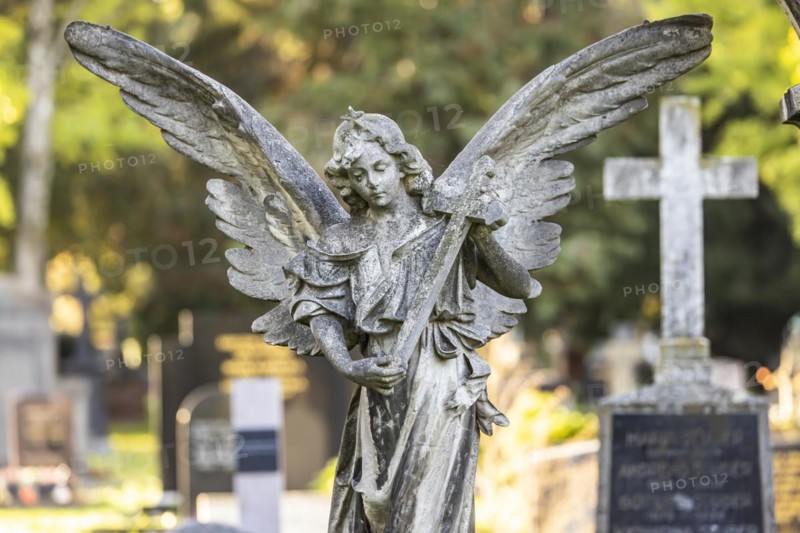 Prague Cemetery Stuttgart in autumn