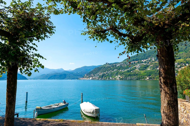 Lake and Mountain View with Tree Branch and Boat over Morcote in a Sunny Summer Day on Lake Lugano in Morcote