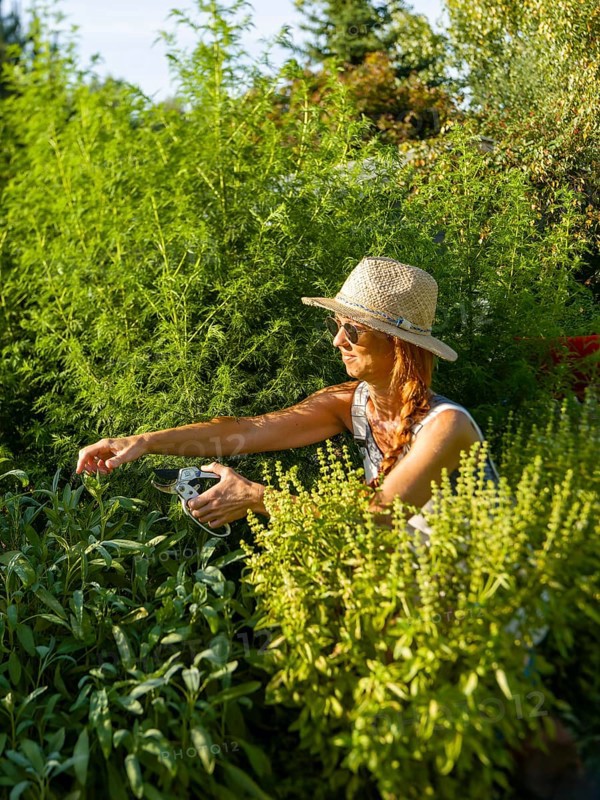 Woman in herb bed