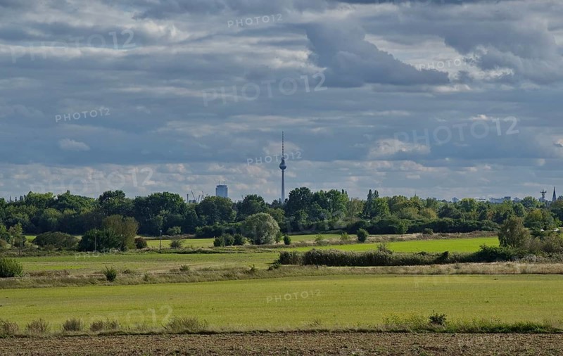 View of the television tower from Blankenfelder Chaussee