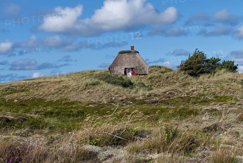 Small thatched house near Nymindegab in Denmark
