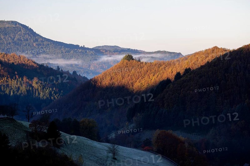 Early November fog near Oppenau