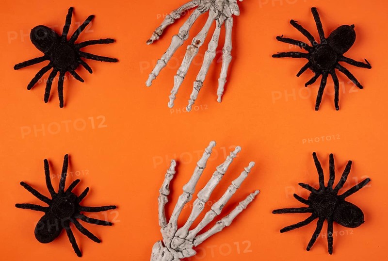 Black spiders and skeleton hands on orange