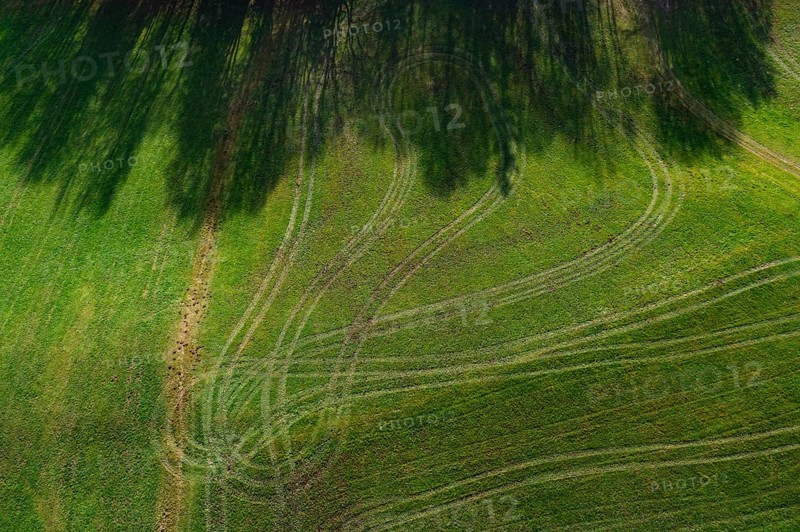 Drone image