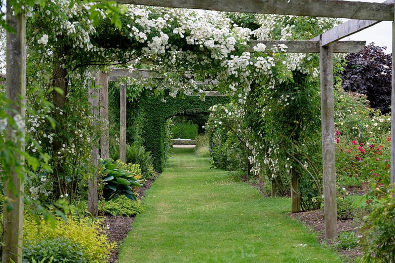 Walled Garden